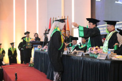 IMG_2639-Large